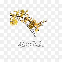 秋天秋季树枝你好秋天-空若网 秋天秋季树枝你好秋天-空若网