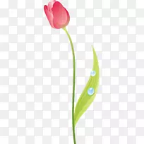 ����ֲ��������ٺϿ�������-������