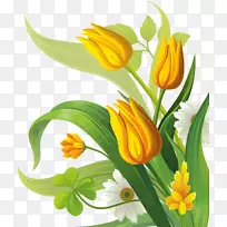 插花艺术-郁金香-空若网 插花艺术-郁金香-空若网