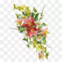 �л����-�������-������