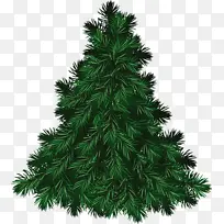 Ê¥µ®½Ú£¬Ê¥µ®Ê÷-¿ÕÈôÍø Ê¥µ®½Ú£¬Ê¥µ®Ê÷-¿ÕÈôÍø