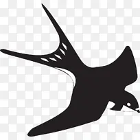 动物世界燕子-空若网 动物世界燕子-空若网