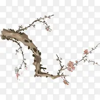 ��ɫ����÷����֦-������