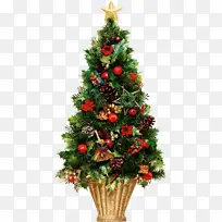 Ê¥µ®½ÚÊ¥µ®Ê÷×°ÊθßÇå-¿ÕÈôÍø Ê¥µ®½ÚÊ¥µ®Ê÷×°ÊθßÇå-¿ÕÈôÍø