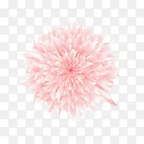 白牡丹插画元素-空若网 白牡丹插画元素-空若网