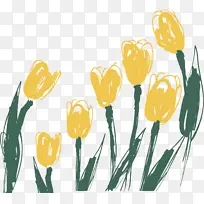 黄色郁金香手绘卡通-空若网 黄色郁金香手绘卡通-空若网
