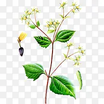 ìî·çʪÈÈÒ©ØgÇ©²Ý-¿ÕÈôÍø ìî·çʪÈÈÒ©ØgÇ©²Ý-¿ÕÈôÍø