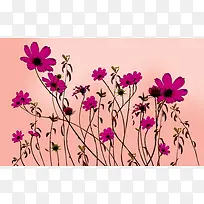 花绘手绘花背景-空若网 花绘手绘花背景-空若网