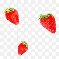 ά���� ˮ�� ��ݮ ��-������