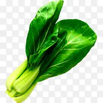 ʳ��,����,�ز�,��ɫ,��Ʒʵ��-������