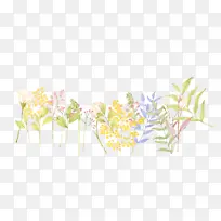 С���»����ز�-������