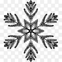 黑白雪花对称-雪花-空若网 黑白雪花对称-雪花-空若网