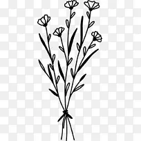 �ز� ֲ�� ƽ�� ����ز�-������