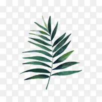 竹子叶子当背景-空若网 竹子叶子当背景-空若网