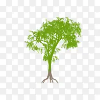 绿植树-空若网 绿植树-空若网