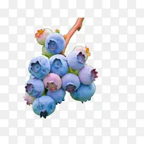 水果蓝莓浆果-空若网 水果蓝莓浆果-空若网