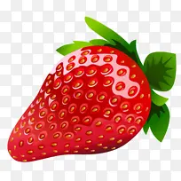 ��ͨˮ����ݮֲ��ͼƬ-������