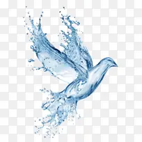 创意水花鸽子-空若网 创意水花鸽子-空若网