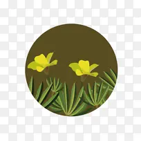 酢浆草我的练习-空若网 酢浆草我的练习-空若网