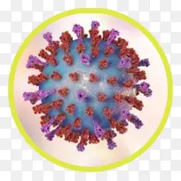 �󳦰����Ͼ�-������