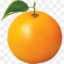 橙色的橙子还是橘子-空若网 橙色的橙子还是橘子-空若网