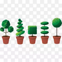 植物修剪树盒树篱-空若网 植物修剪树盒树篱-空若网