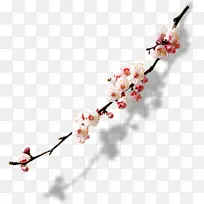 �ŵ��һ���֦-������