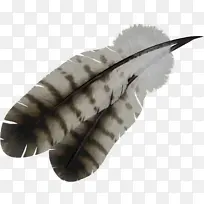 ��ȸ��ë���͸������-������