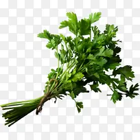 田园绿色蔬菜-空若网 田园绿色蔬菜-空若网