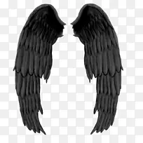 翅膀羽翼素材-空若网 翅膀羽翼素材-空若网