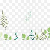 小清新花瓣小草-空若网 小清新花瓣小草-空若网