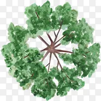 ��ɫ��֦֦Ѿˮ�ʷ��ֻ�-������