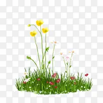 ����  �� ��ֲ С�� �ƻ�-������