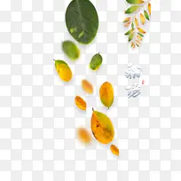 秋天立秋树枝树叶二十四节气-空若网 秋天立秋树枝树叶二十四节气-空若网