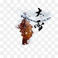 冬天大雪树叶树枝雪花二十四节气-空若网 冬天大雪树叶树枝雪花二十四节气-空若网