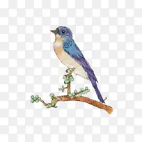 ��ɫ С�� ��֦ װ��-������