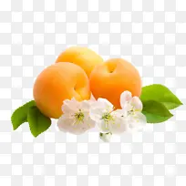 黄杏跟白色杏花-空若网 黄杏跟白色杏花-空若网