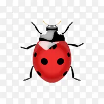 �ֻ�廭ư��-������