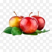 ˮ��Ԫ�� ֲ��Ԫ�� ����ˮ�� ����29-������