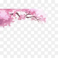 �ŷ���Ϸװ����֦-������