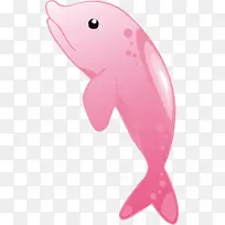 海豚美丽 雷爱 大气-空若网 海豚美丽 雷爱 大气-空若网