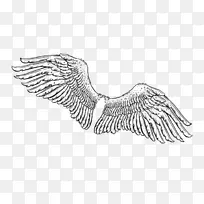 �������������ʹ���-������