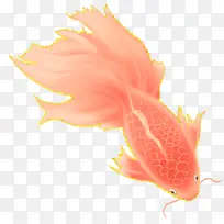 国风插画孔雀鱼-空若网 国风插画孔雀鱼-空若网