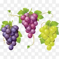 ��������ز�2-������