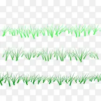 绿色沙丘草素材-空若网 绿色沙丘草素材-空若网