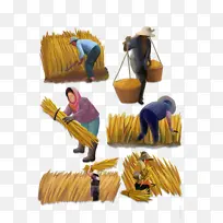 �＾�����ز�ͼƬ-������