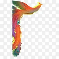 五彩凤凰插画-空若网 五彩凤凰插画-空若网
