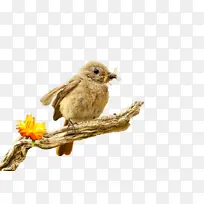 ð´ÃùÄñ³ÔÀ¥³æ-¿ÕÈôÍø ð´ÃùÄñ³ÔÀ¥³æ-¿ÕÈôÍø