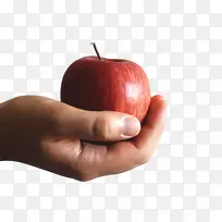 ƻ���������ŵ�ƻ��ˮ��-������