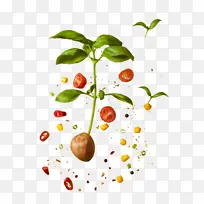 ¶¯¸ÐºÃ¿´µÄÐÂÏÊÊ߲ˣ¬ÅäÁÏ-¿ÕÈôÍø ¶¯¸ÐºÃ¿´µÄÐÂÏÊÊ߲ˣ¬ÅäÁÏ-¿ÕÈôÍø